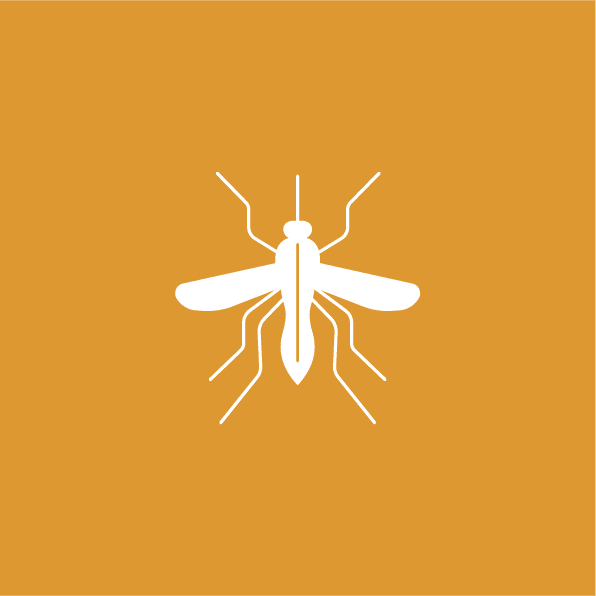 Mosquito (Beethoven), le boitier anti-jeunes