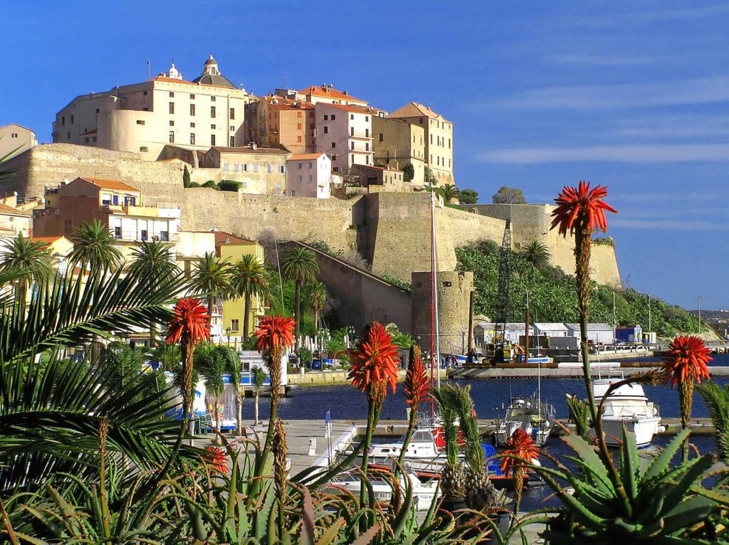 Calvi