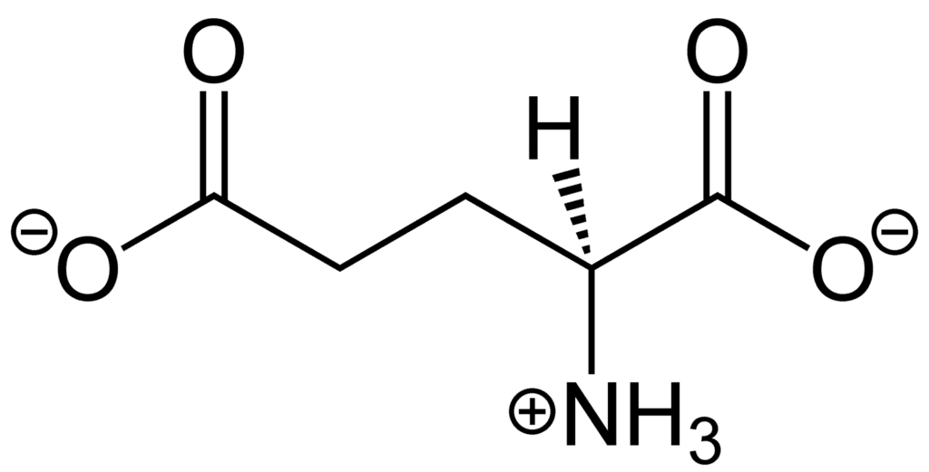 Glutamate