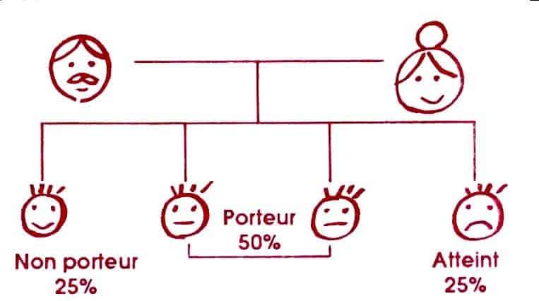 Héréditaire