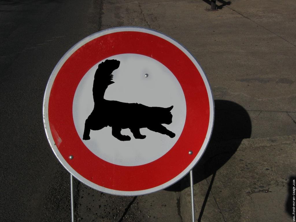 interdit