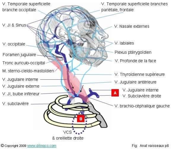 Audika - 👂 Une sensation d'oreille bouchée ? Mais d'où ça vient