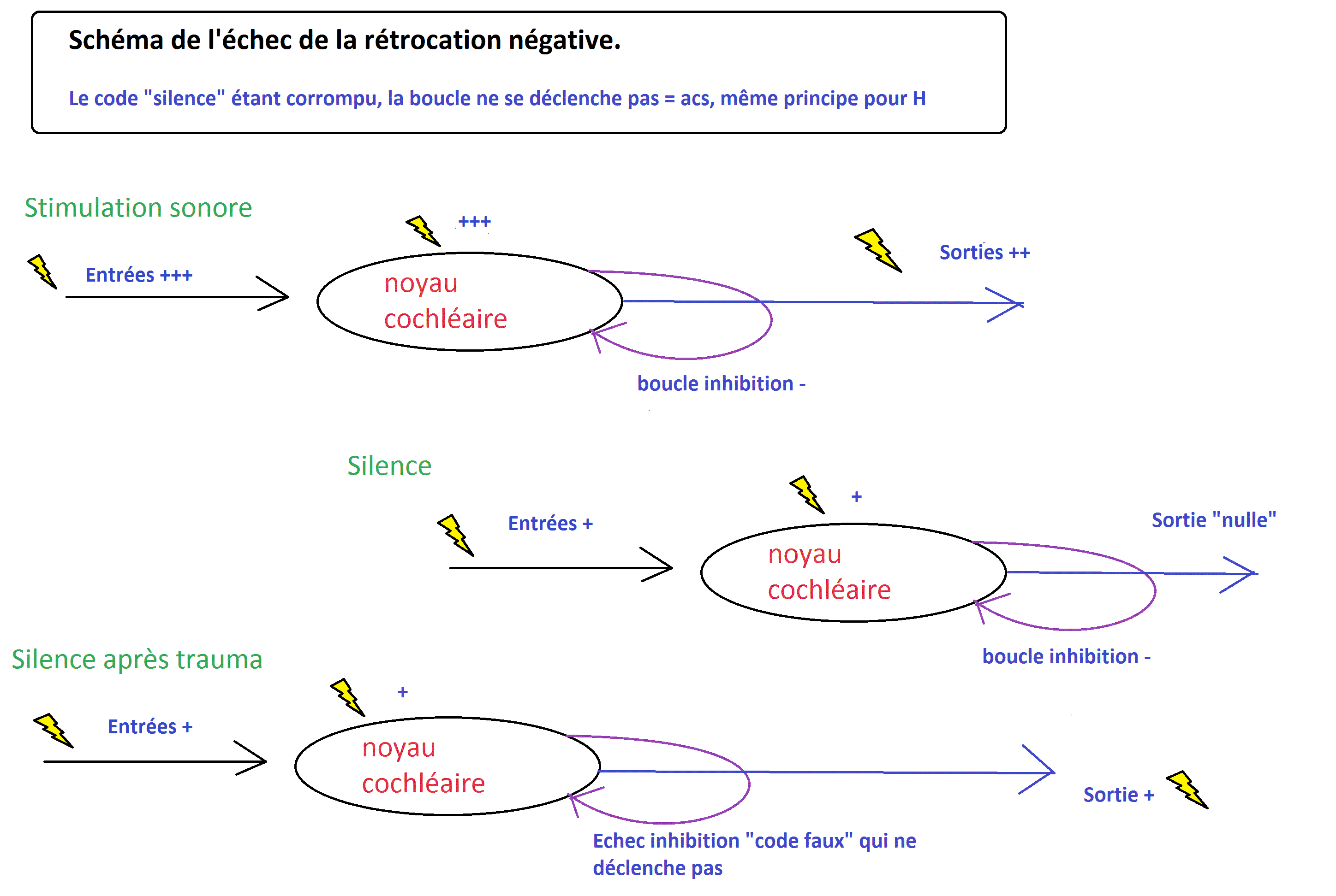 échec rétroaction négative