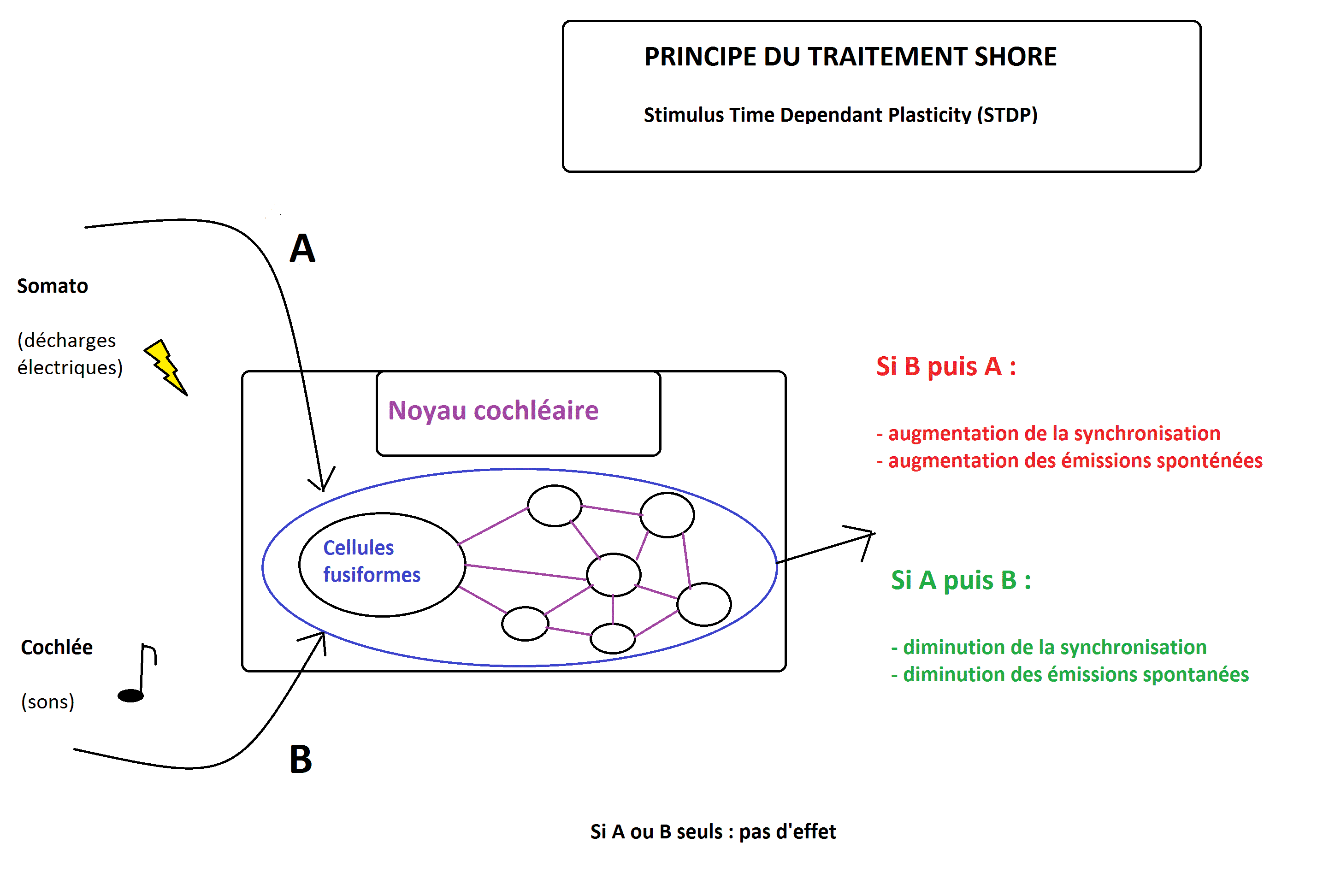 traitement Shore