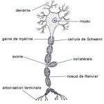 Photo de Profil de henri59