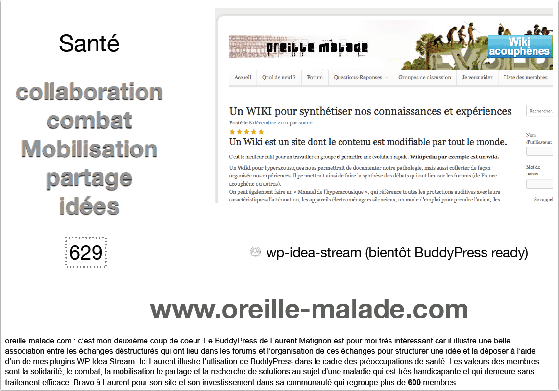 Oreille malade au Wordcamp Paris 2013 !